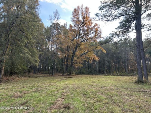4024 Old Mill Road, Osyka, MS 39657
