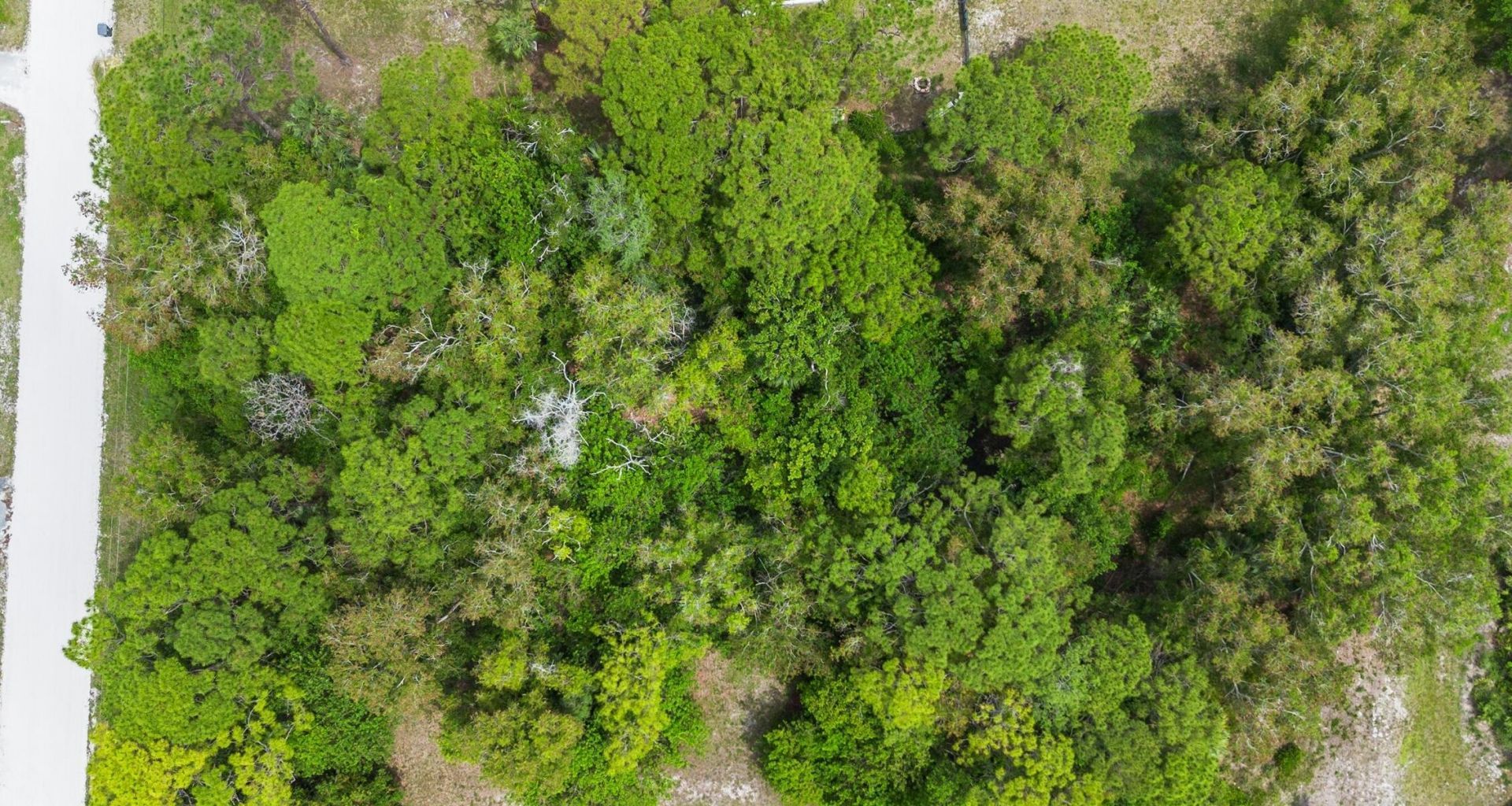 Tbd 122nd Drive N, The Acreage, FL 33411 Photo