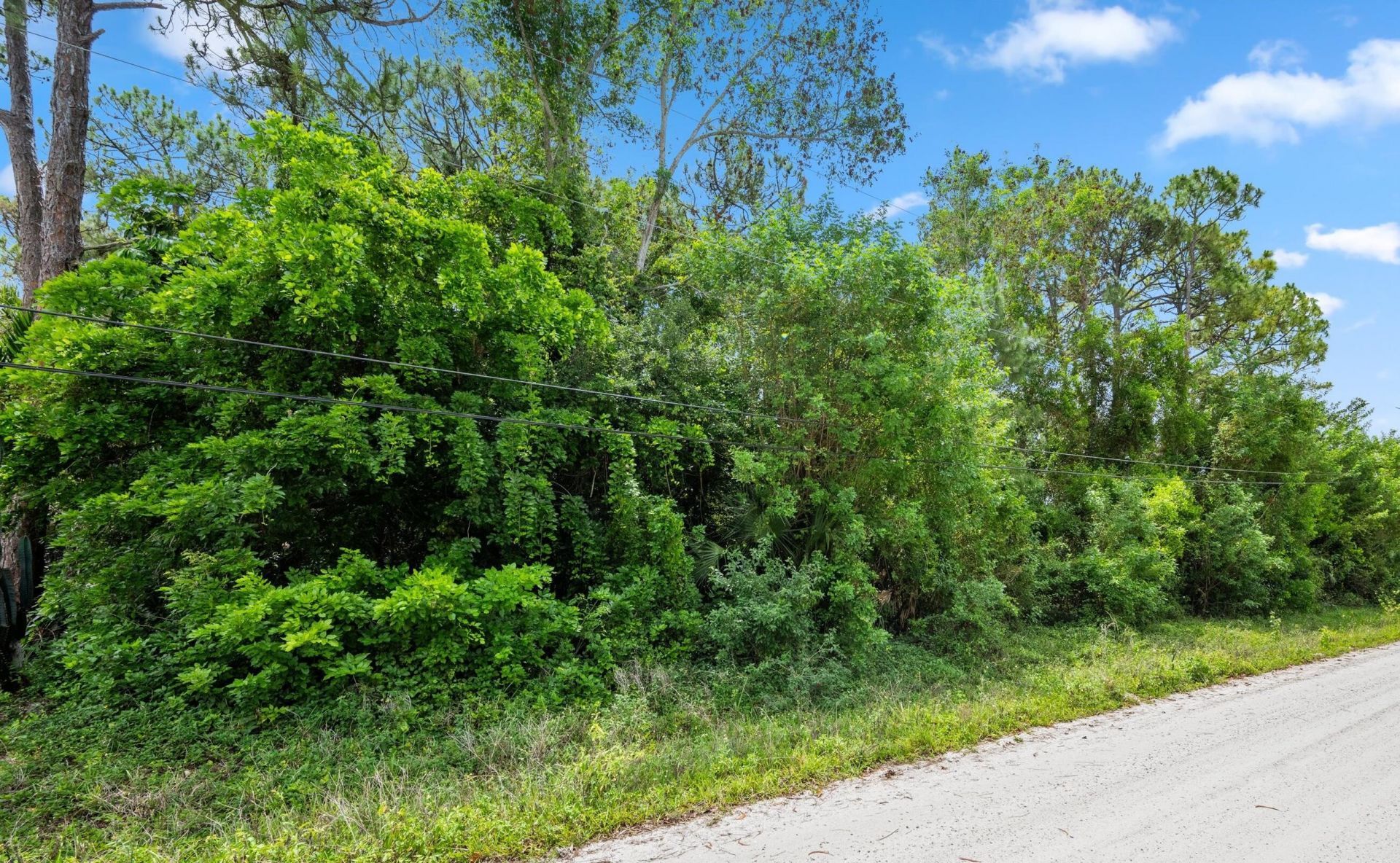 Tbd 122nd Drive N, The Acreage, FL 33411 Photo