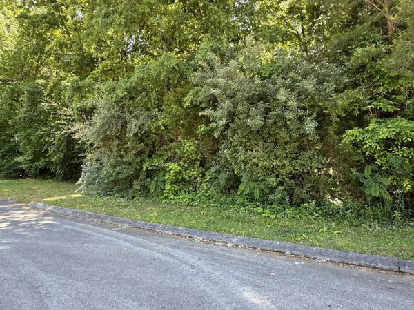 194 Elm Street, Decatur, TN 37322