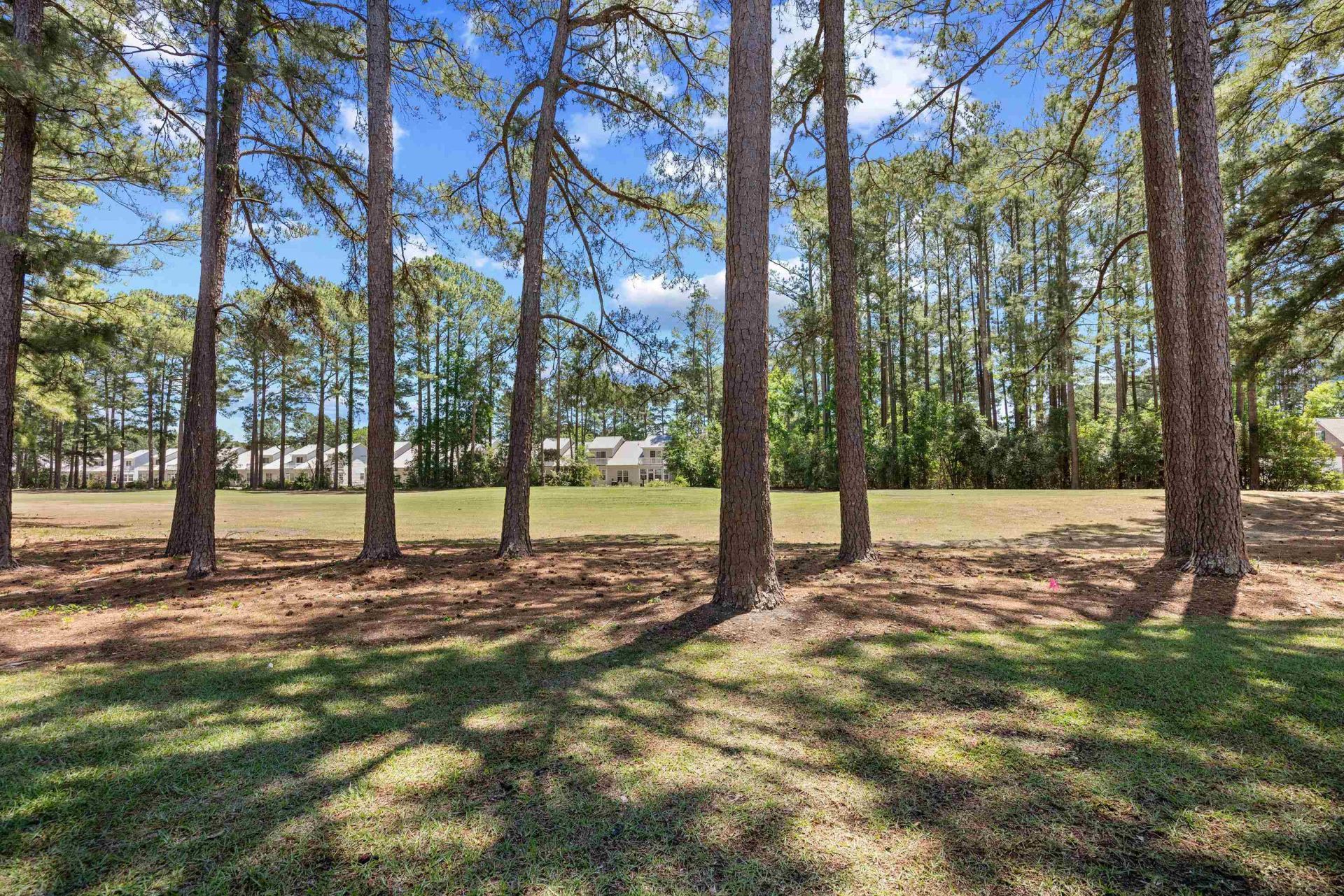 890 Fairway Dr.  Photo 38