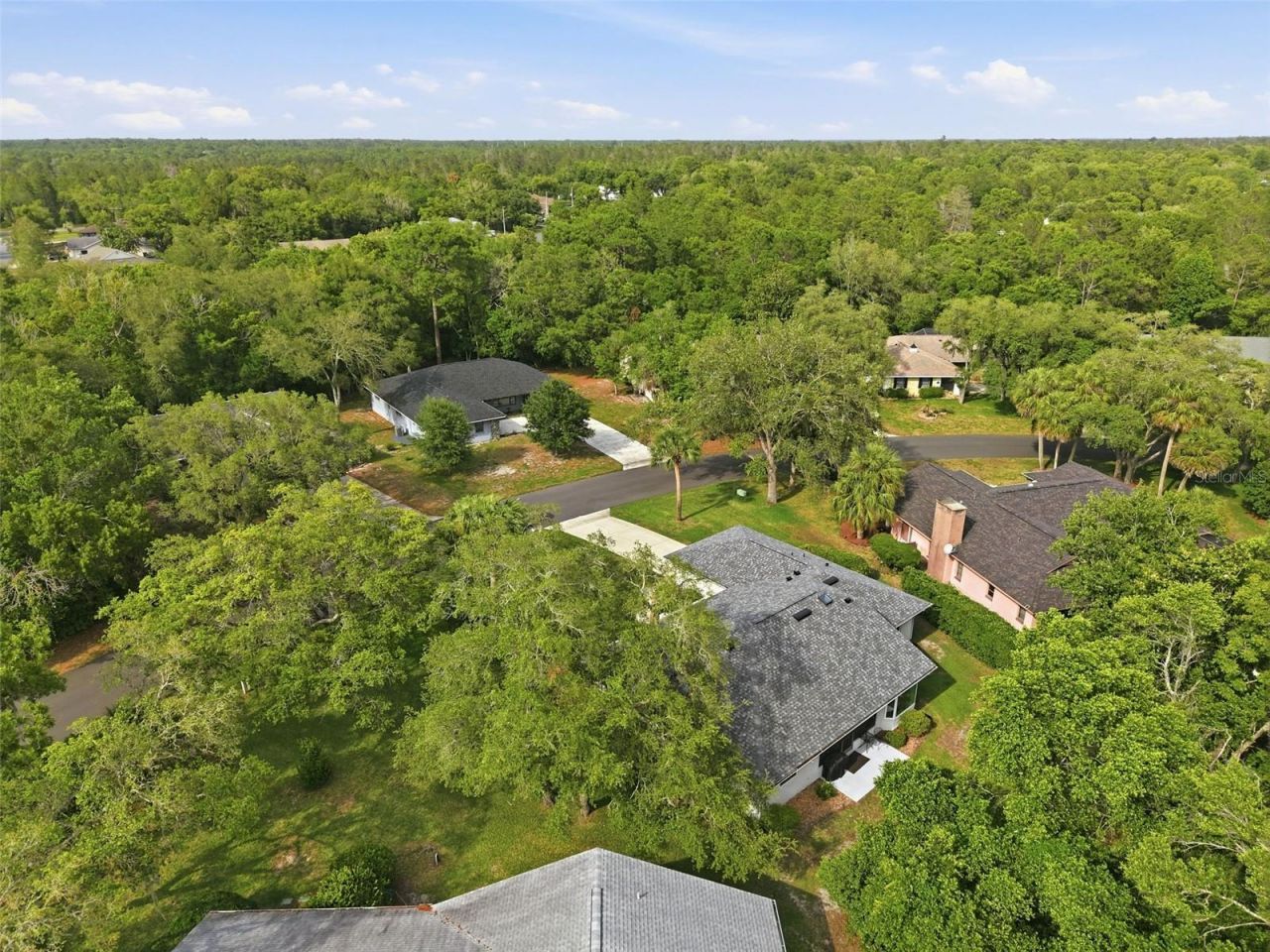 7 Salvia Court W, Homosassa, FL 34446 Photo