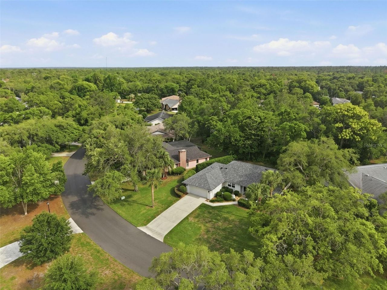 7 Salvia Court W, Homosassa, FL 34446 Photo