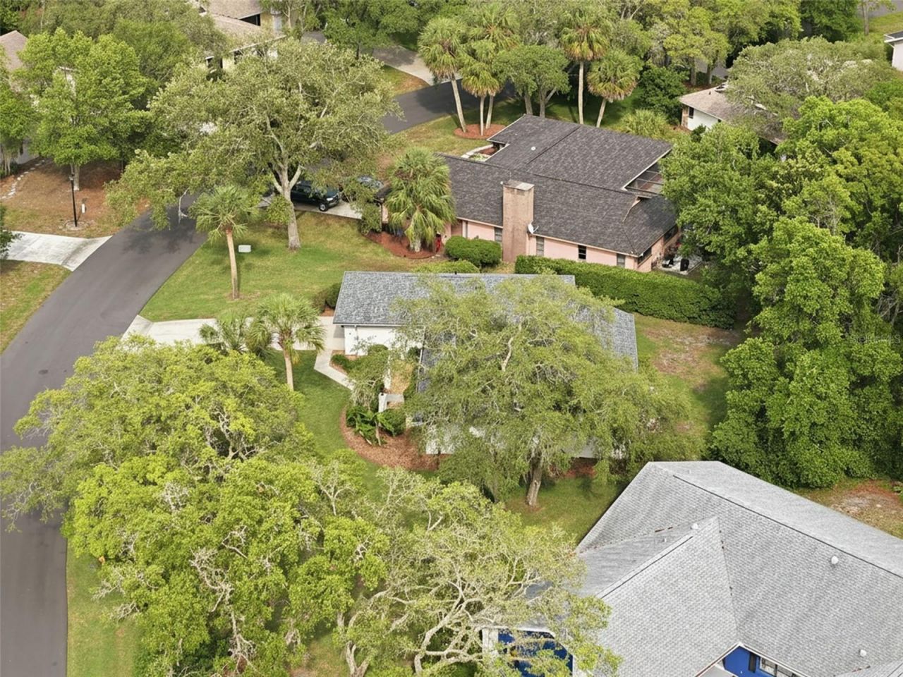 7 Salvia Court W, Homosassa, FL 34446 Photo