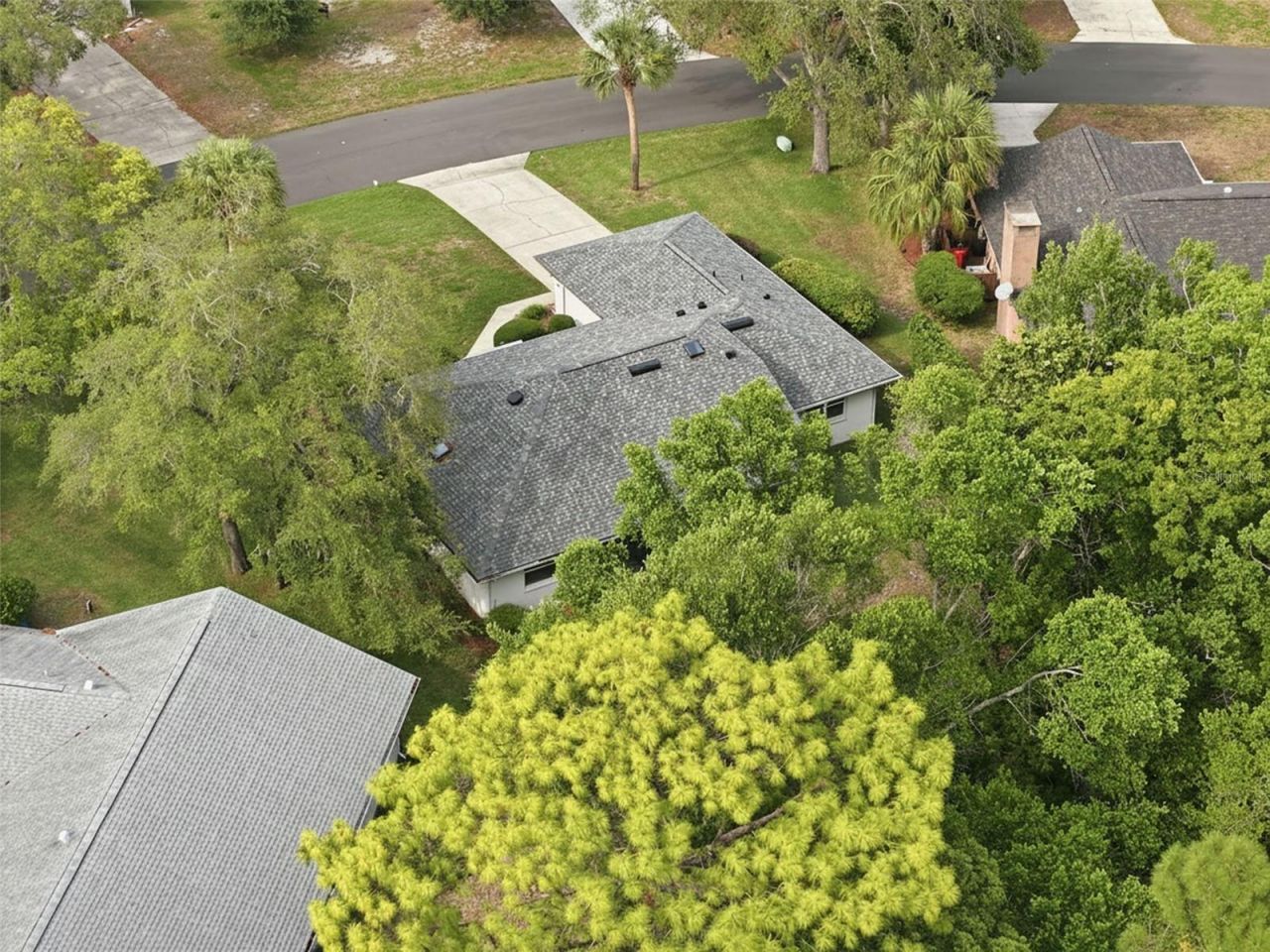 7 Salvia Court W, Homosassa, FL 34446 Photo