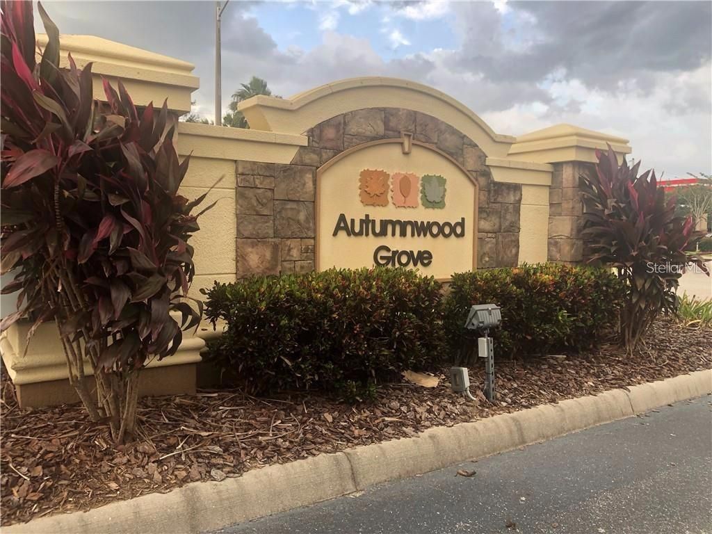 4116 Winding Vine Drive, Lakeland, FL 33812 Photo
