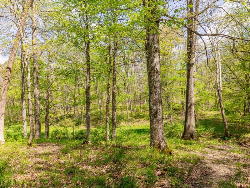 9651 Reno Lane, Hillsboro, OH 45133 Photo 100