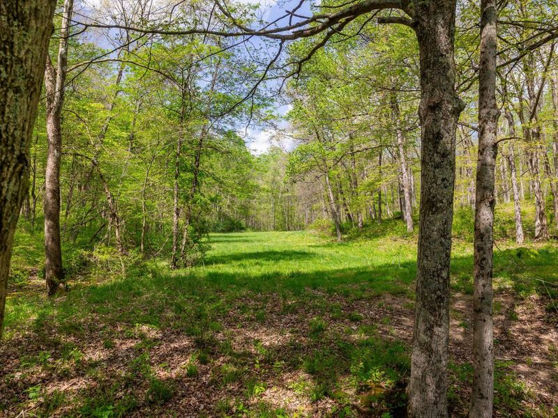 9651 Reno Lane, Hillsboro, OH 45133 Photo 107