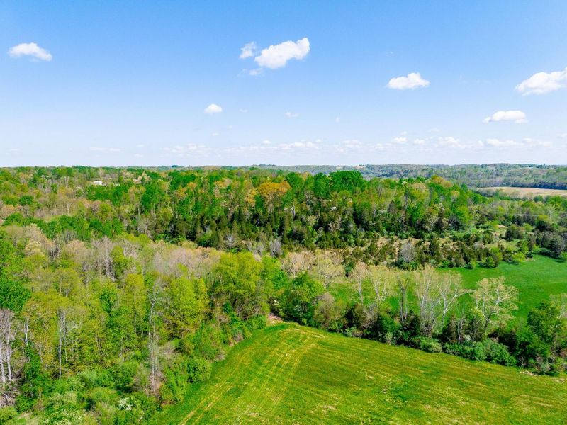 9651 Reno Lane, Hillsboro, OH 45133 Photo 69