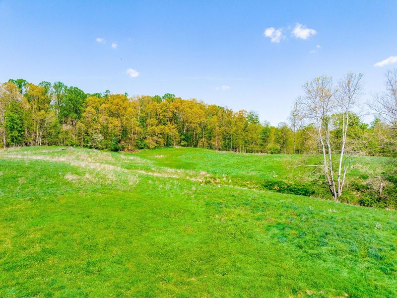 9651 Reno Lane, Hillsboro, OH 45133 Photo 79