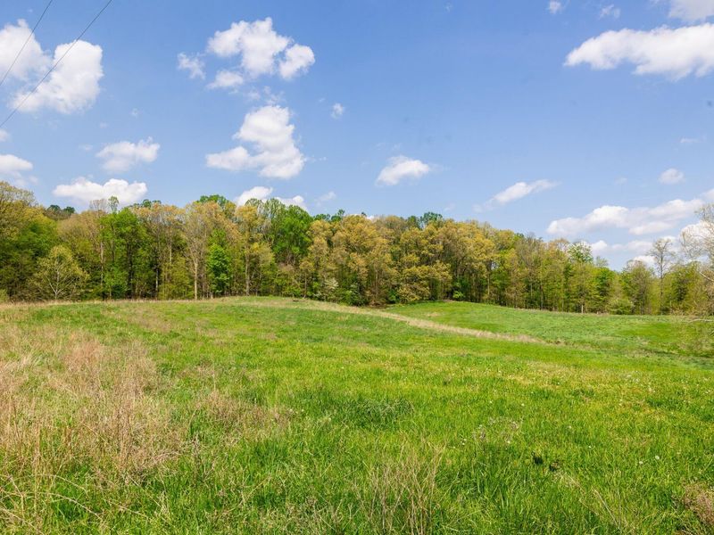 9651 Reno Lane, Hillsboro, OH 45133 Photo 84