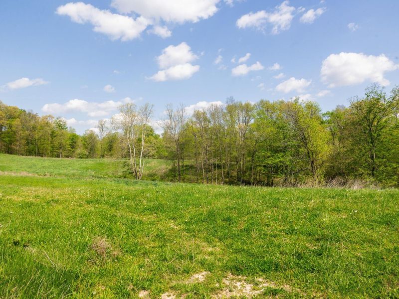 9651 Reno Lane, Hillsboro, OH 45133 Photo 85
