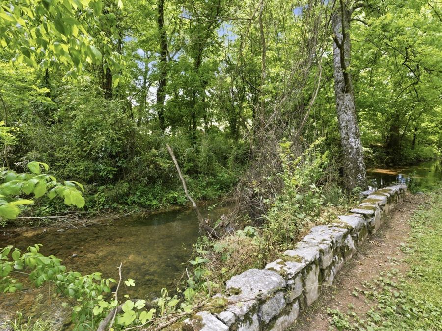 Property Image 42