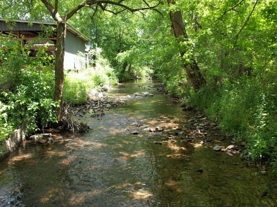 Property Image 43