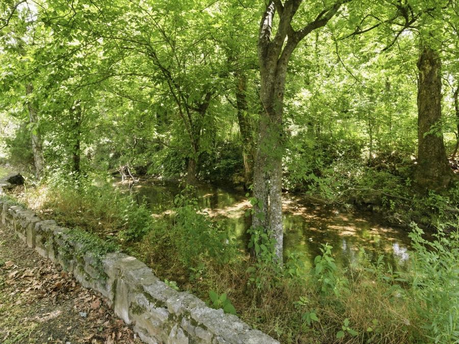 Property Image 43