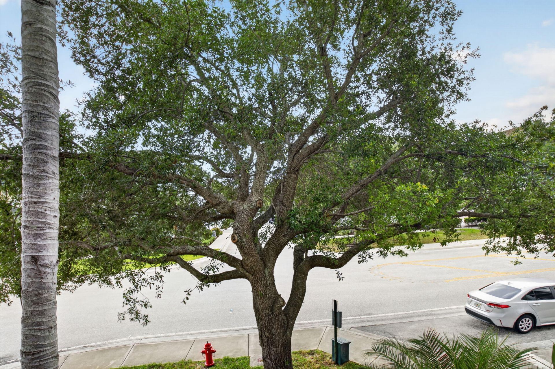 1690 Renaissance Commons Boulevard, Unit 1219, Boynton Beach, FL 33426 Photo