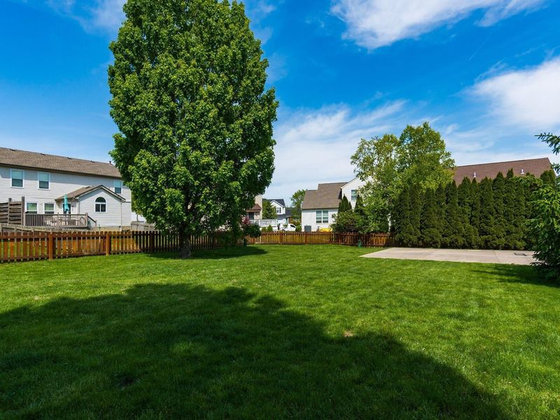 9184 Misty Dawn Drive, Columbus, OH 43240 Photo 39