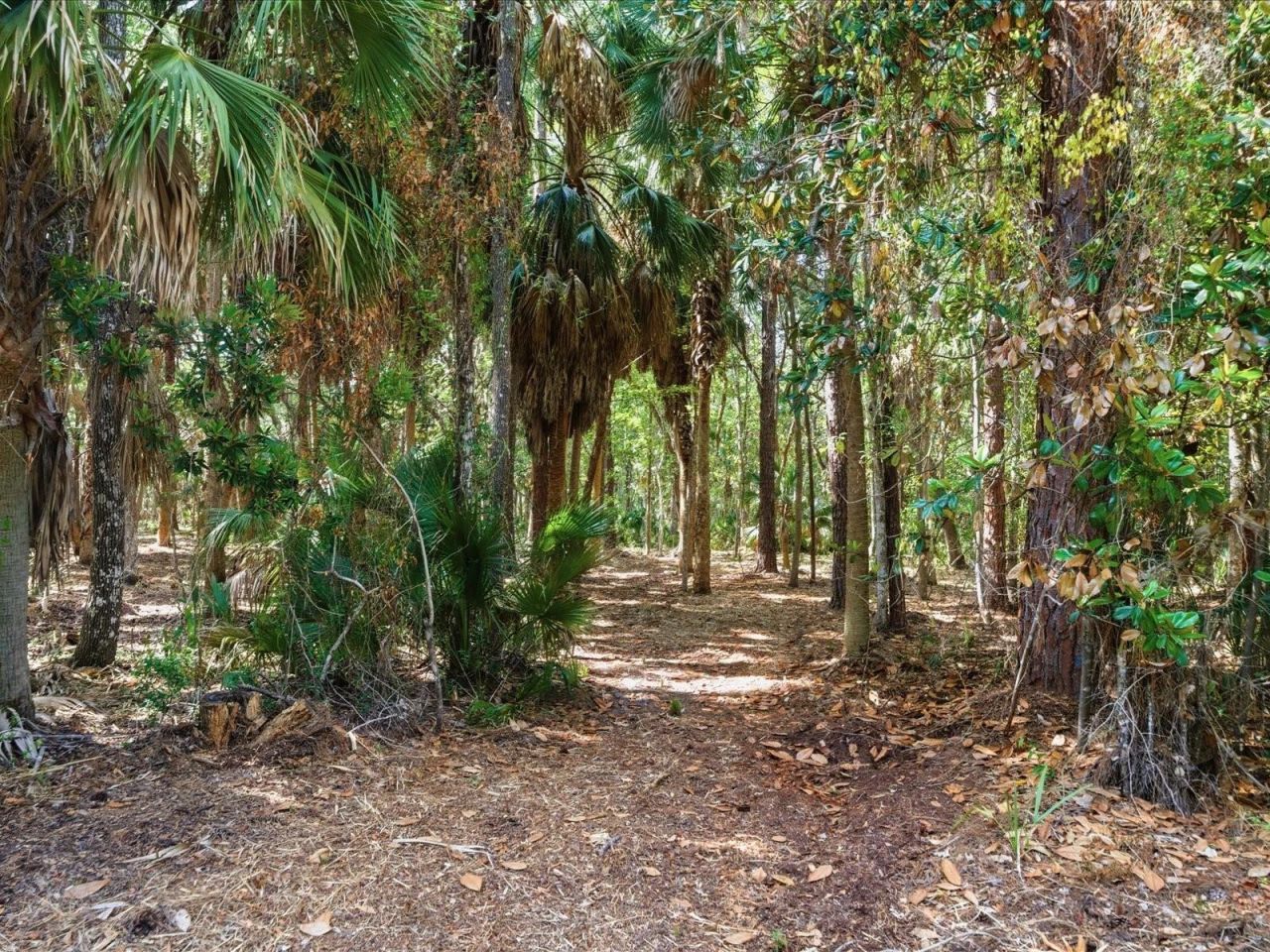 Osowaw Boulevard, Spring Hill, FL 34607 Photo
