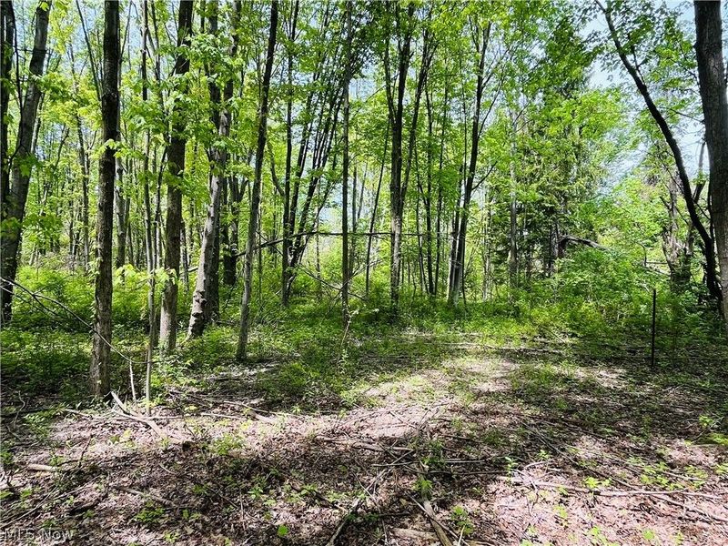 Bates Road, Madison, OH 44057 Photo 1