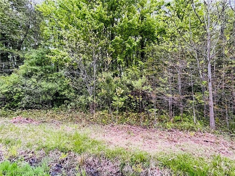 Bates Road, Madison, OH 44057 Photo 10