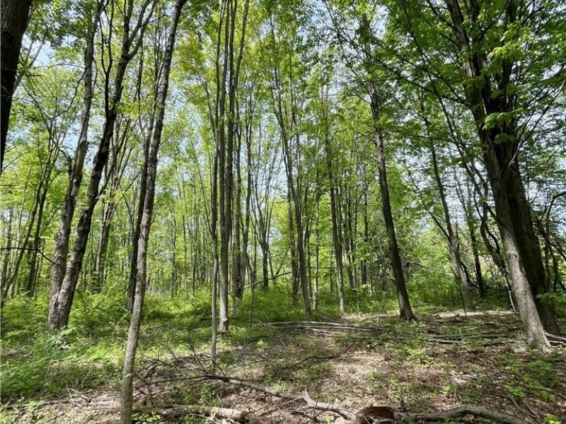 Bates Road, Madison, OH 44057 Photo 2