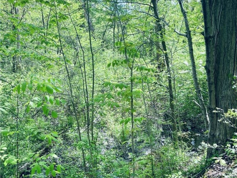 Bates Road, Madison, OH 44057 Photo 3