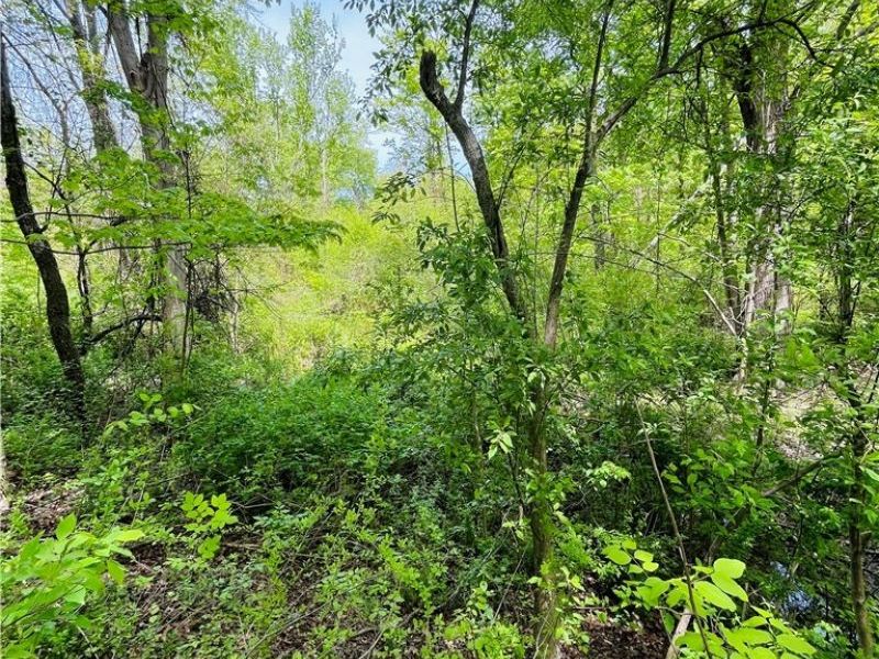 Bates Road, Madison, OH 44057 Photo 4