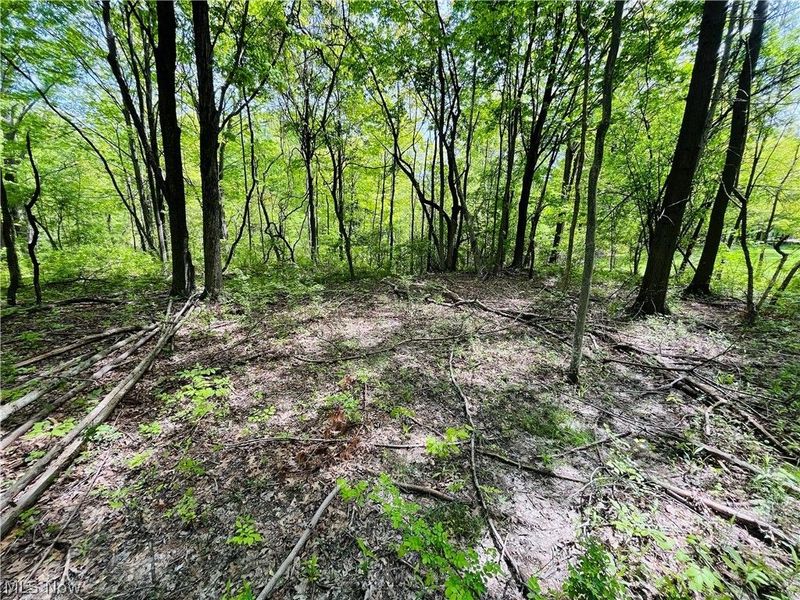 Bates Road, Madison, OH 44057 Photo 5