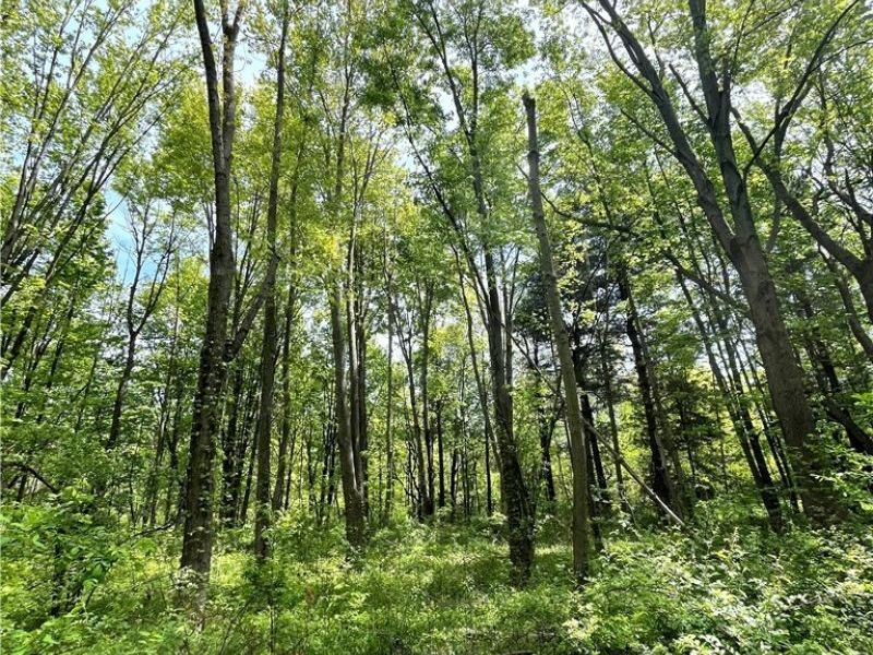 Bates Road, Madison, OH 44057 Photo 6