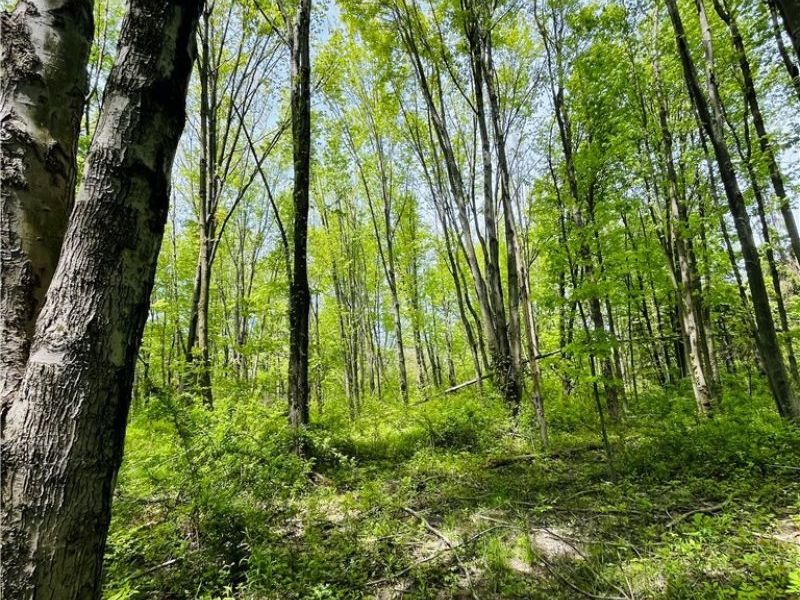 Bates Road, Madison, OH 44057 Photo 7