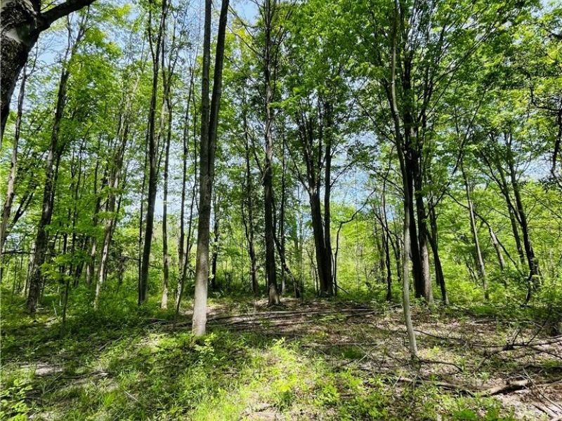 Bates Road, Madison, OH 44057 Photo 8