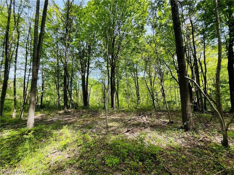 Bates Road, Madison, OH 44057 Photo 9