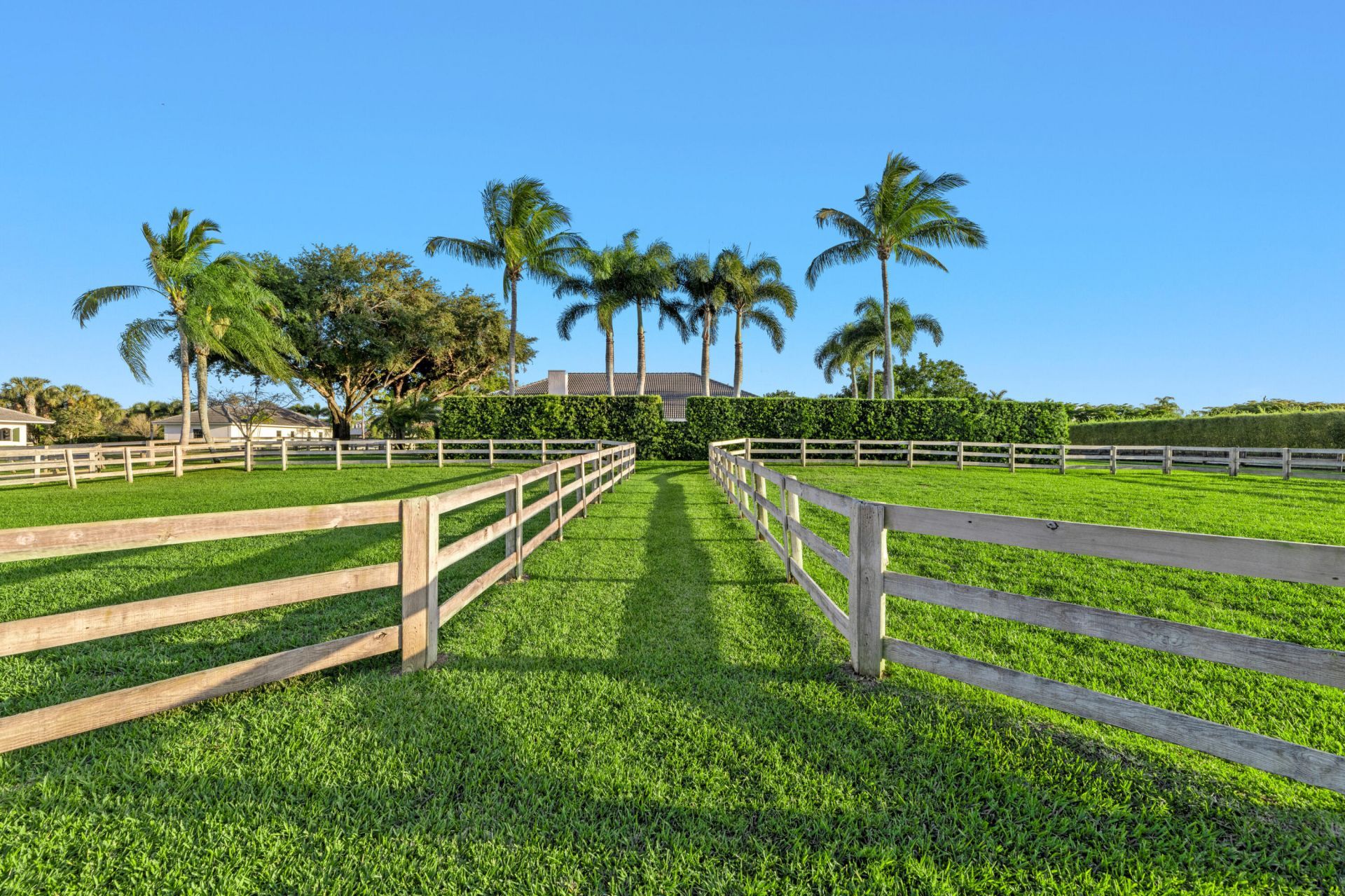14169 Belmont Trace, Wellington, FL 33414 Photo