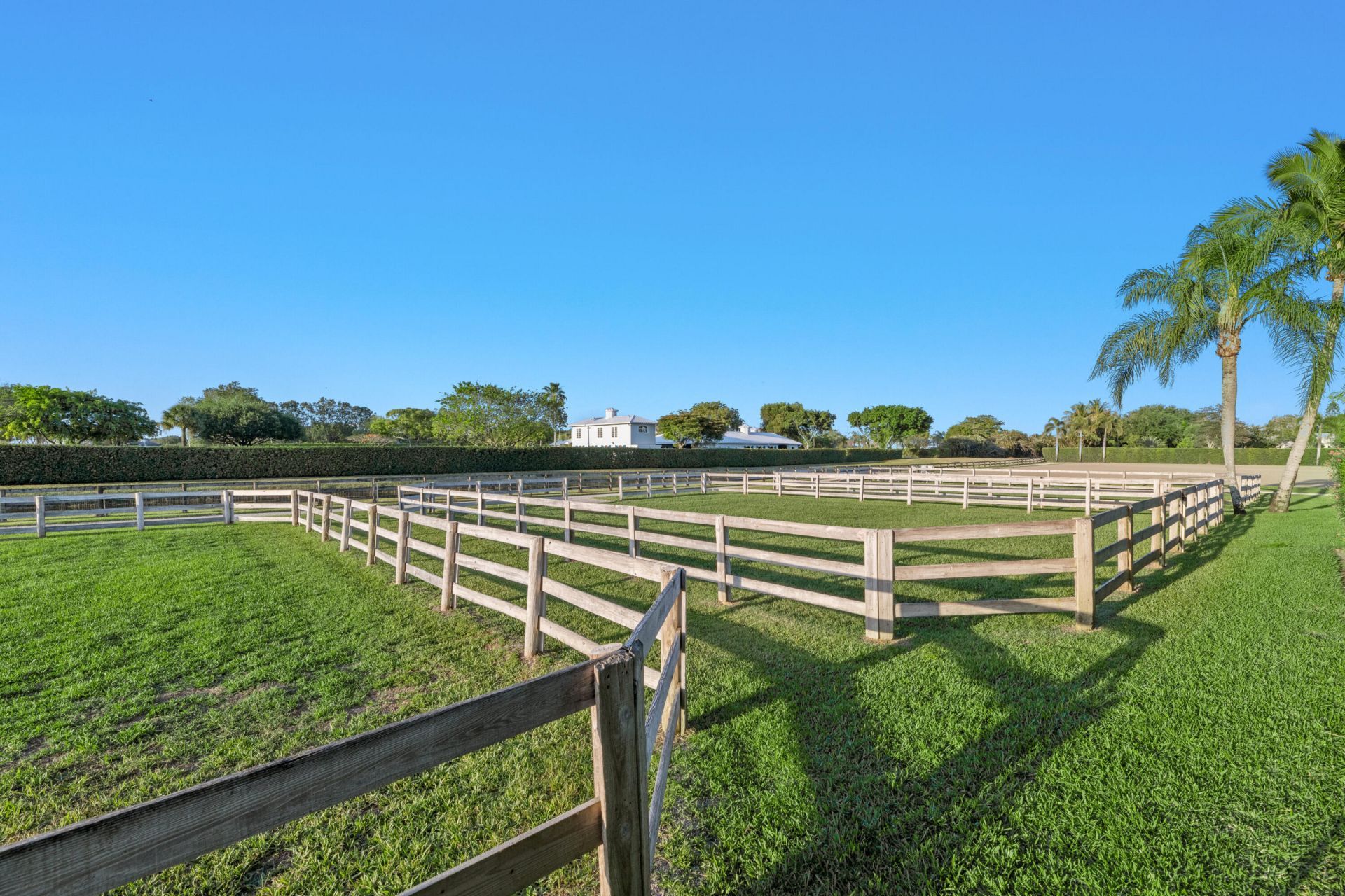 14169 Belmont Trace, Wellington, FL 33414 Photo