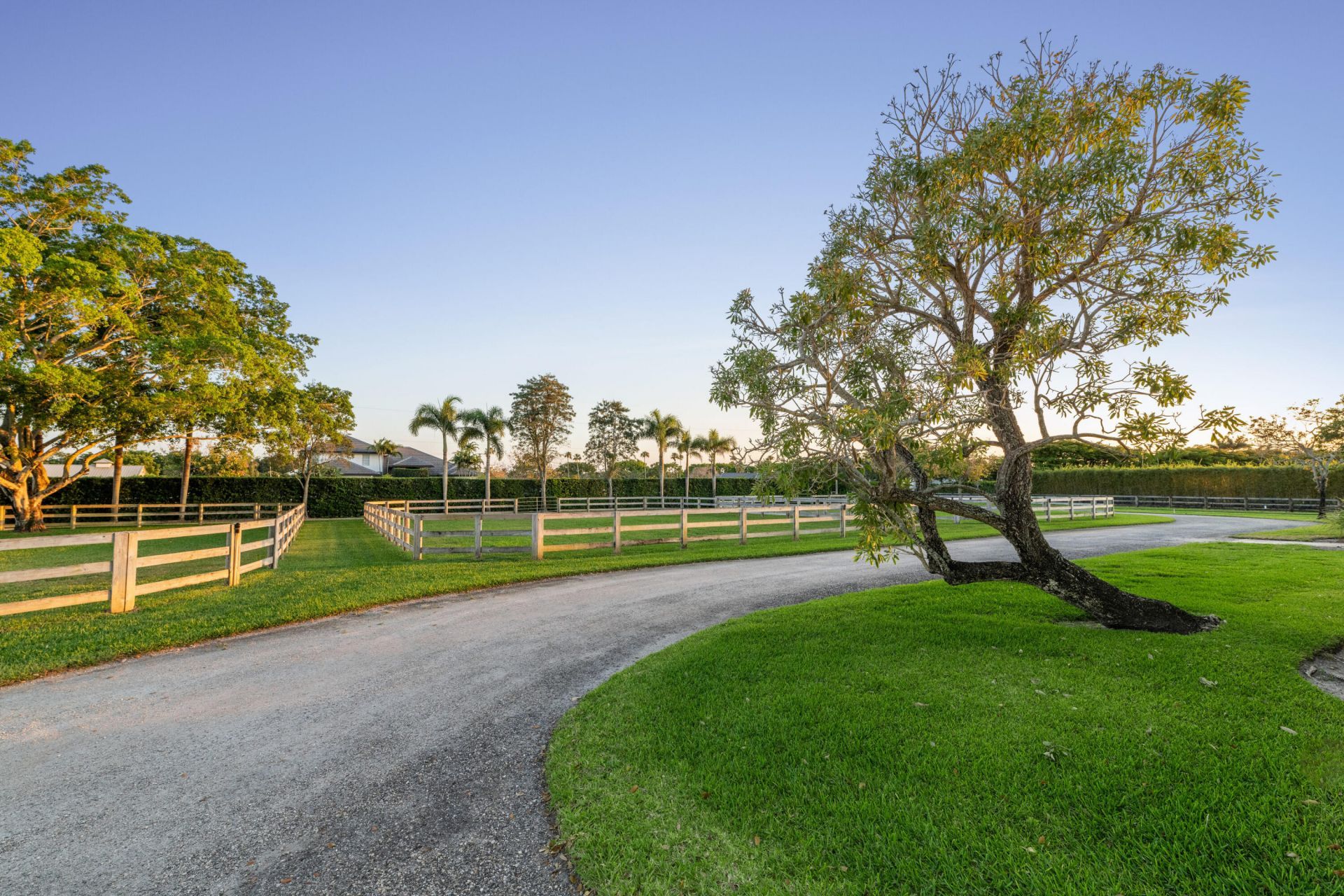 14169 Belmont Trace, Wellington, FL 33414 Photo