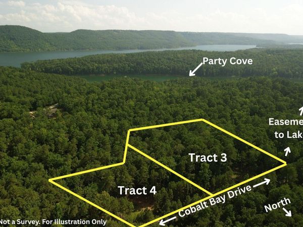 Tracts 3 & 4 Cobalt Bay Drive , Shirley, AR 72153
