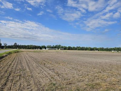 74.03 Acres - Highway 917, Nichols, SC 29581