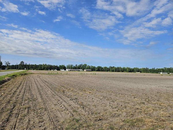 74.03ac Highway 917 , Nichols, SC 29581