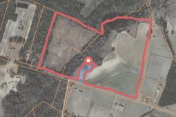 74.03 Acres - Highway 917 photo 4