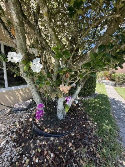 8306 Horseshoe Bay Road, Boynton Beach, FL 33472 Photo