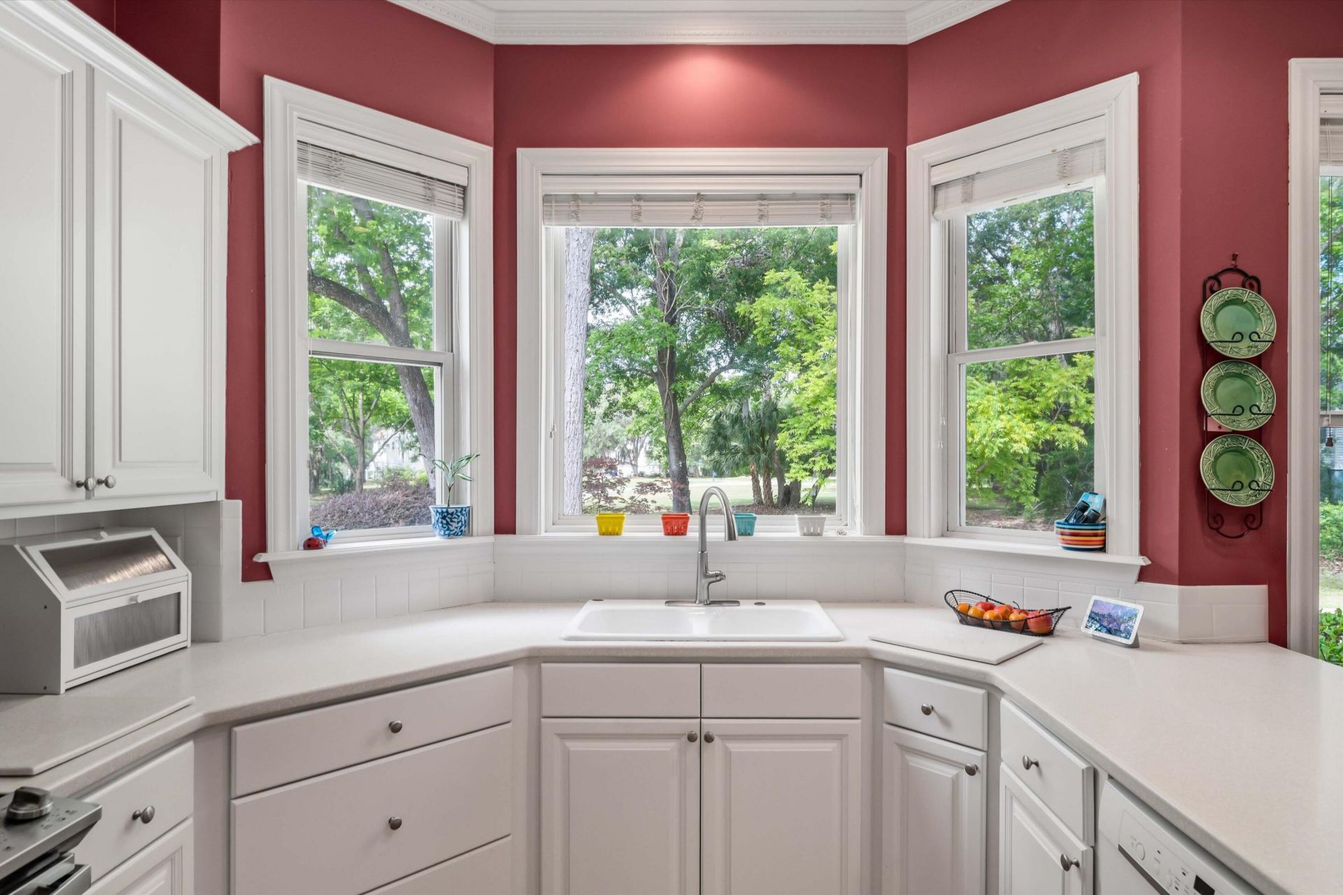 3894 Plantation Lakes Drive Photo 13