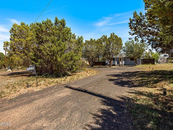 1087 RIM VIEW Drive, Show Low, AZ 85901