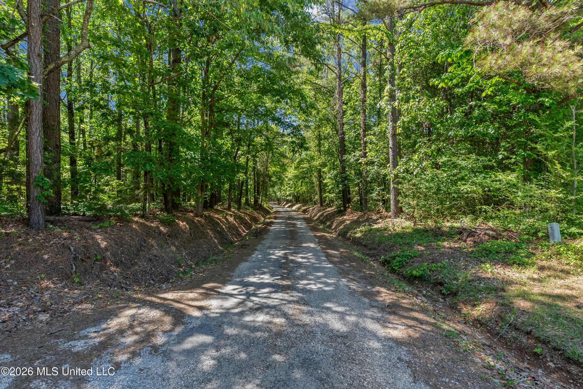 202 Powell Chapel Road, Holly Springs, MS 38635 Main Photo