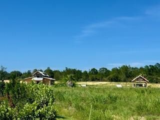 51 White Pelican Lane , Sebastian, FL 32958 Photo