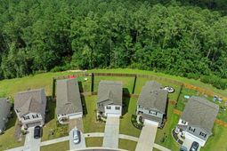 655 Silver Spruce Street photo 4