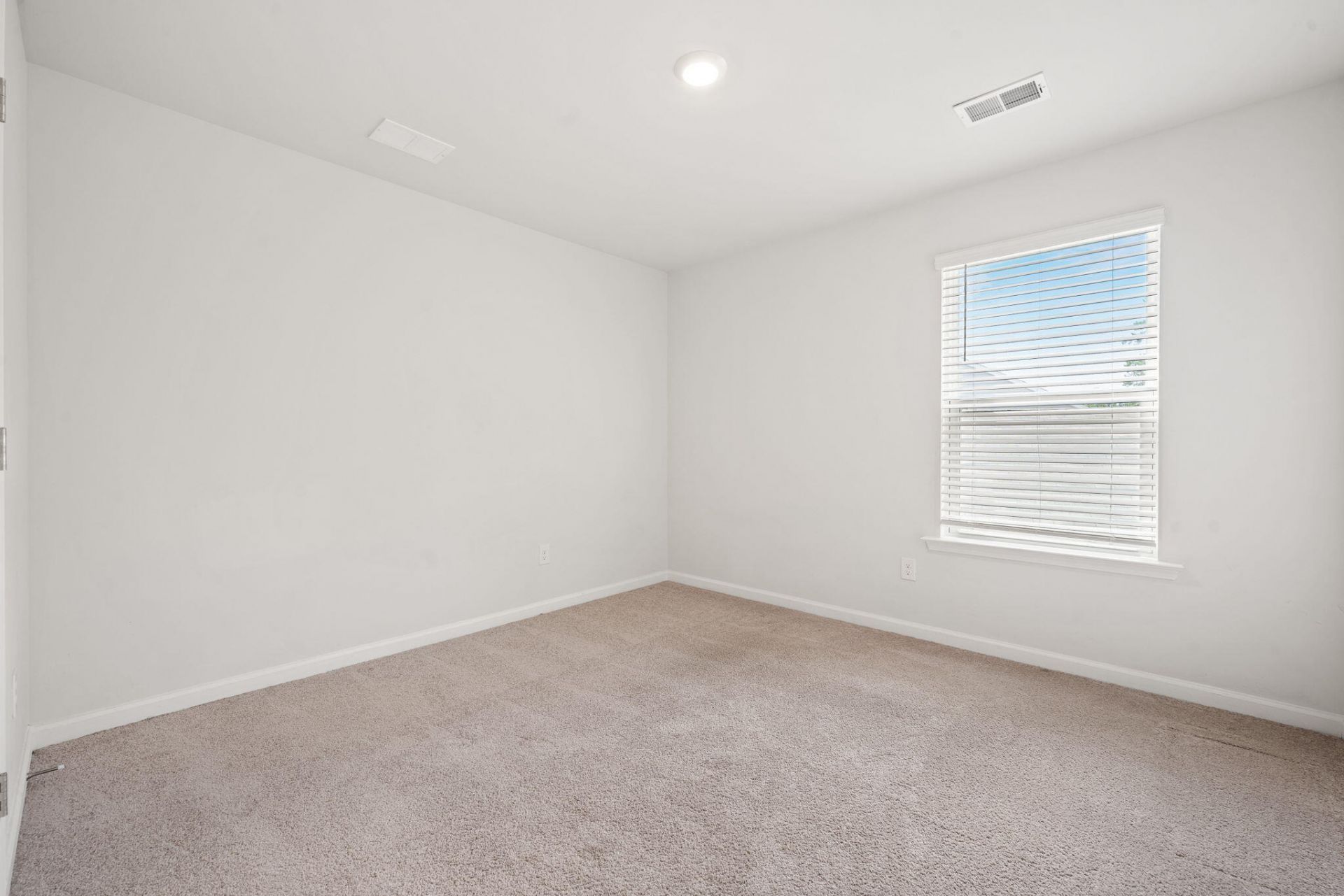 655 Silver Spruce Street Photo 35