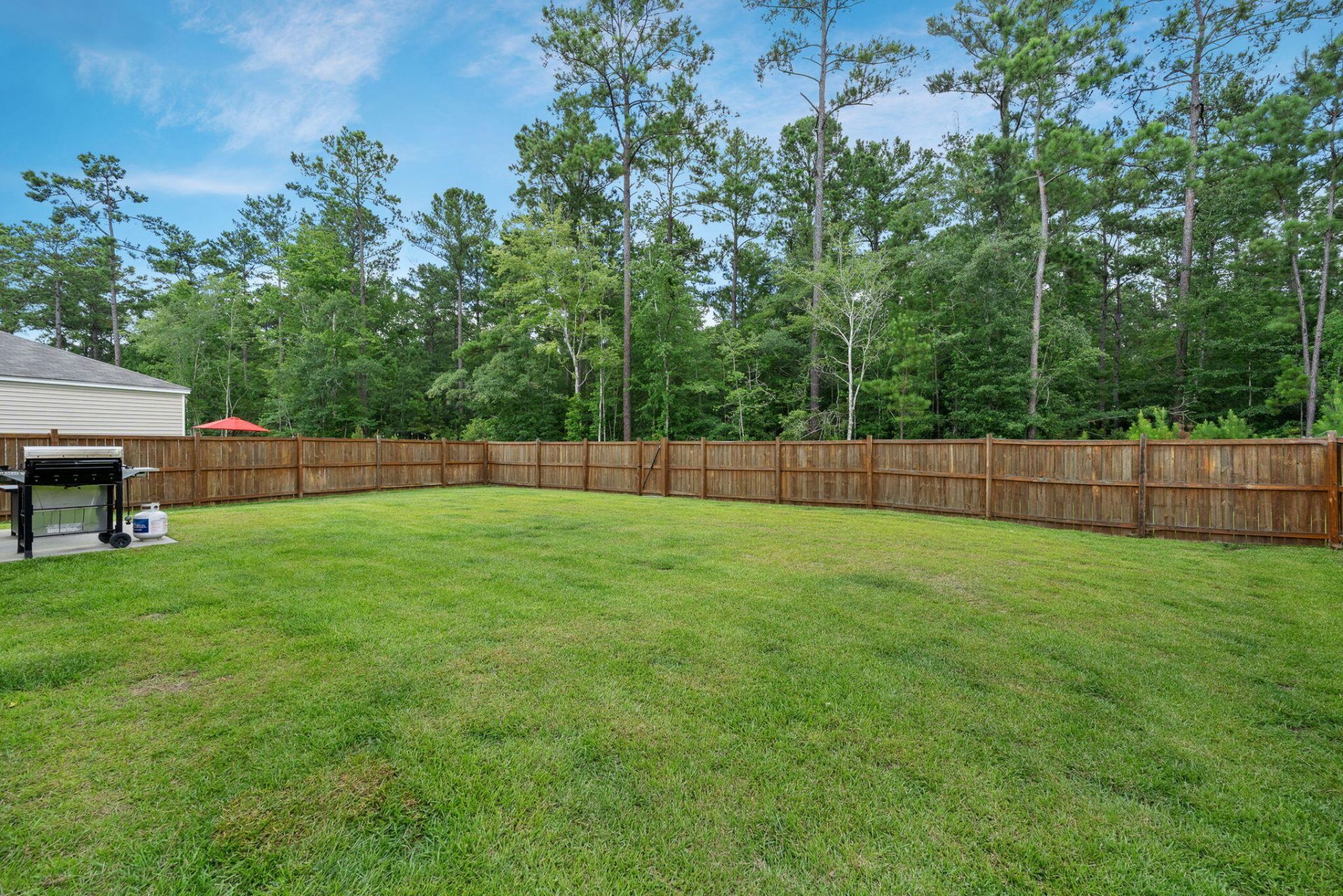 655 Silver Spruce Street Photo 41