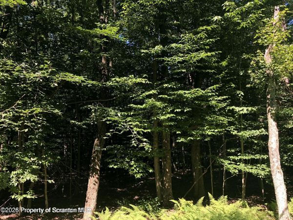 H-1128 E Creek View Drive , Clifton Twp, PA 18424