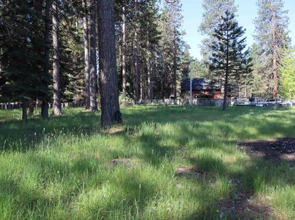 162 Pineleaf Drive, Meadow Valley, CA 95956 Photo