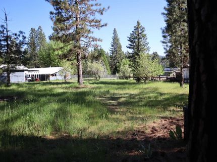 162 Pineleaf Drive, Meadow Valley, CA 95956 Photo